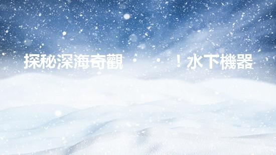 探秘深海奇觀！水下機器人項目揭開神秘面紗，你知道其中的驚人發(fā)現(xiàn)嗎？
